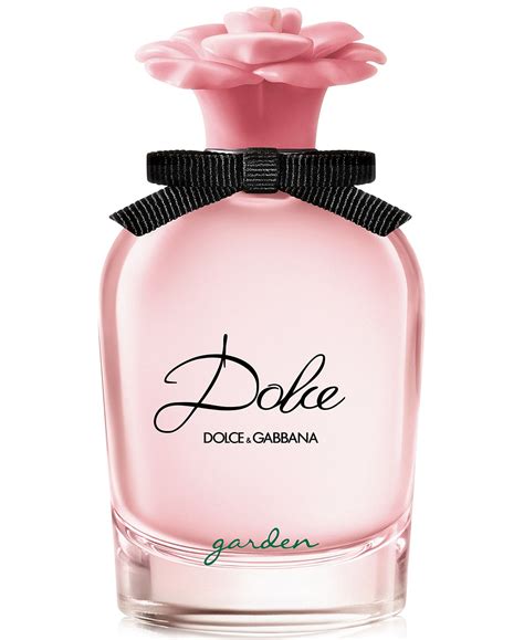 about dolce & gabbana|dolce perfume.